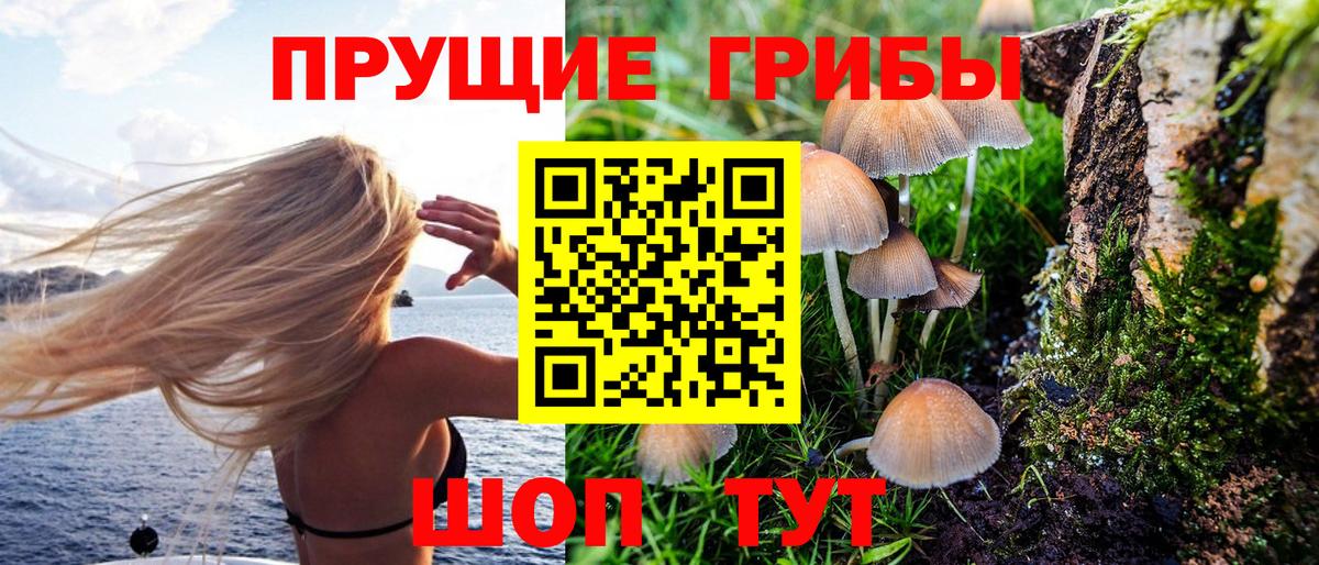 Галлюциногенные грибы GOLDEN TEACHER  магазин    Чернушка  Вход с VPN 